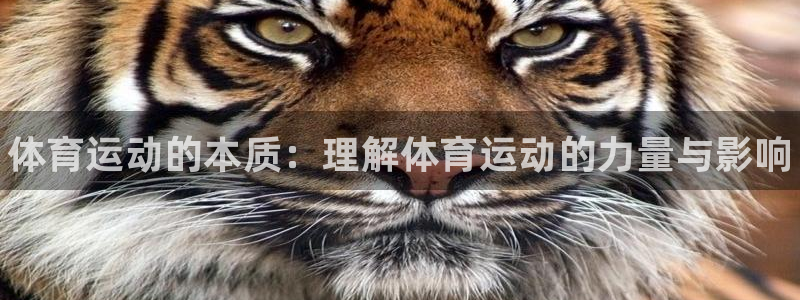 米兰体育官方正版app集团官网首页网址:体育运动的本质:理解