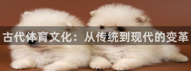 米兰体育官网下载招商:古代体育文化:从传统到现代的变革