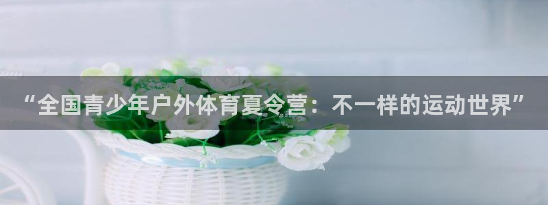 米兰体育官方正版app官方:“全国青少年户外体育夏令营:不一