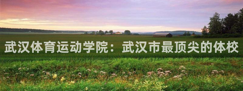 米兰体育官网下载招商电话地址是多少:武汉体育运动学院:武汉市
